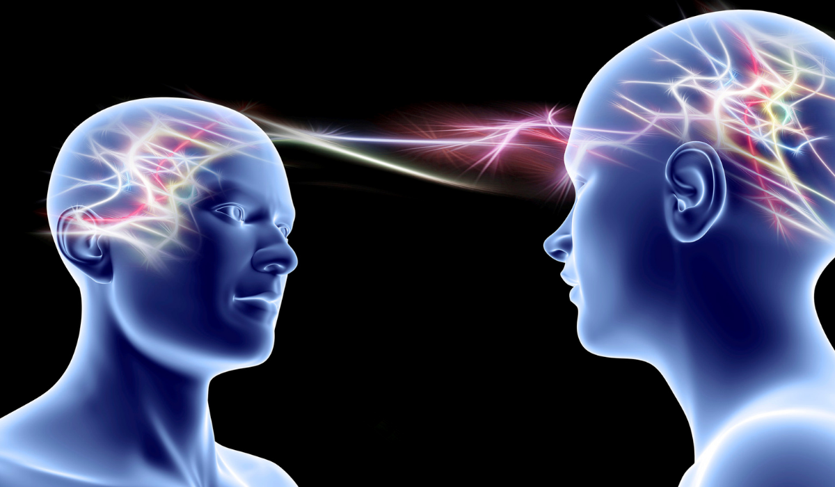 Neuroscience Behind Your Perception